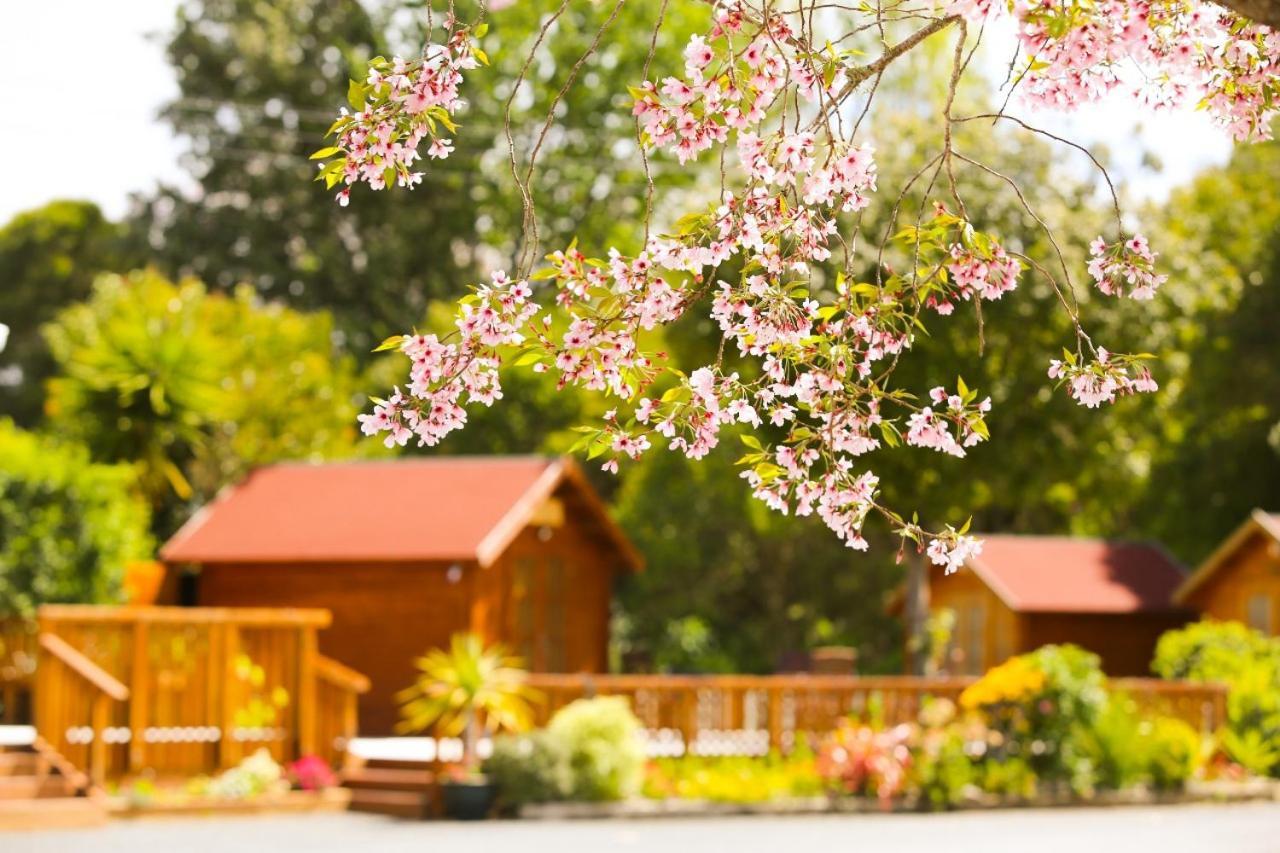 Orere Point Top 10 Holiday Park Auckland Exteriör bild
